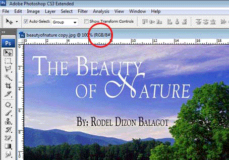 Home Page Image