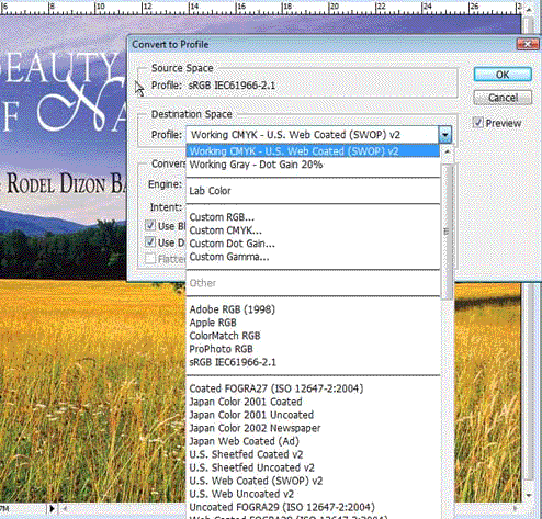 Home Page Image