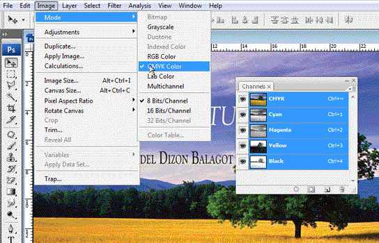 Home Page Image