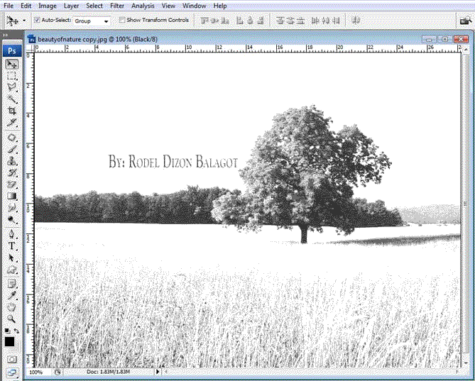 Home Page Image