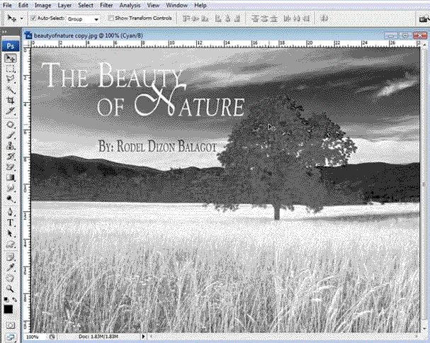 Home Page Image