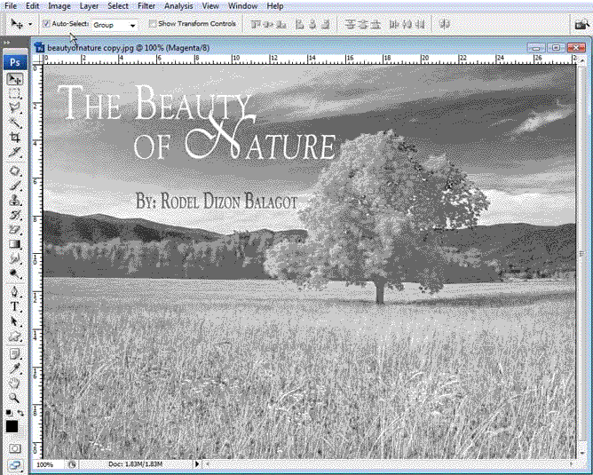 Home Page Image