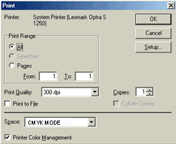 Print Options