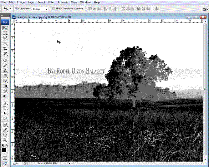 Home Page Image