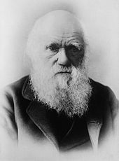 Description: http://upload.wikimedia.org/wikipedia/commons/thumb/b/b6/Darwin_restored2.jpg/170px-Darwin_restored2.jpg