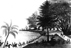 Troops ford lake Ocklawaha in 1835, issued by T.F. Gray of Charleston 
S.C., 1827 courtesy of the History of Marion County website by Star-Banner