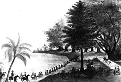 Troops ford lake Ocklawaha in 1835, issued by T.F. Gray of Charleston 
S.C., 1827 courtesy of the History of Marion County website by Star-Banner