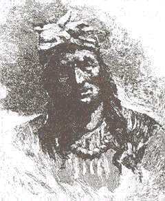 Chief Tiger Tail coutesy of the Seminole 
Tribe of Florida website