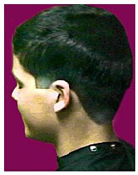 1/2 inch with tapered sideburns