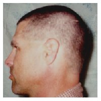 Crewcut - left