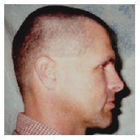 Crewcut - right