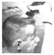 Classic flattop