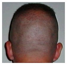 High and tight - back