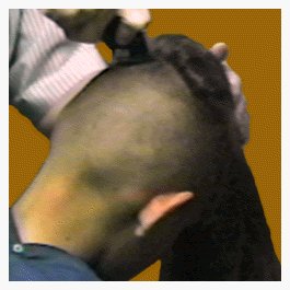 The cut back and sides