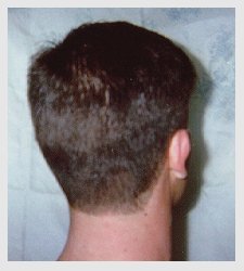 Businessman's taper cut - back