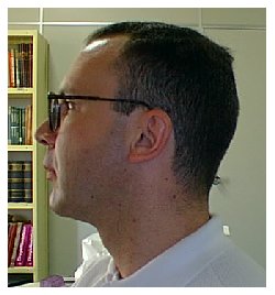 Businessman's cut - right