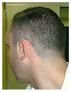 Businessman's cut - side/back
