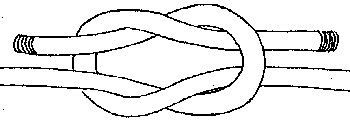 N� Direito