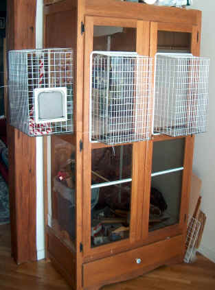 Cage in progress