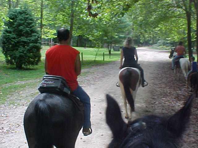 Tar Hollow State Forest trails