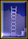 MY GOD A STUNT LADDER, ON TWO LEGS!!!