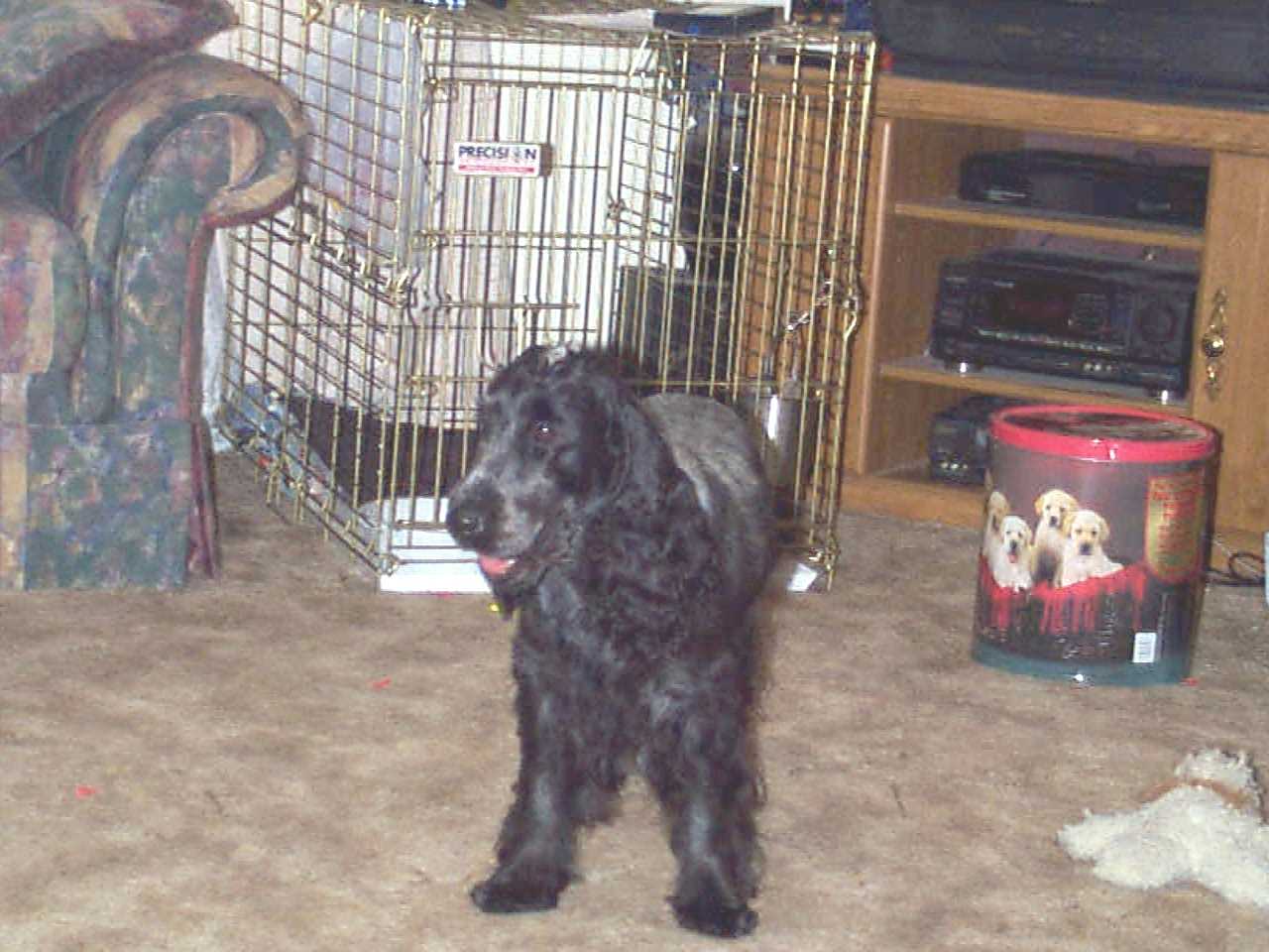 Gabby