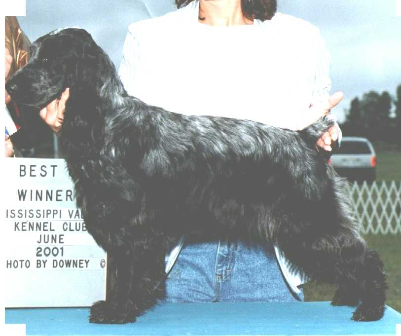 Gabby