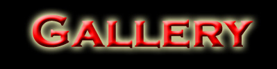 banner"