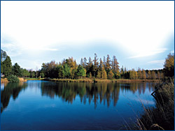 Water landscape