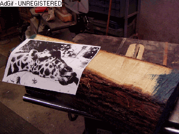 Giraffe