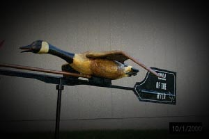 Canada Goose Whirly Gig
