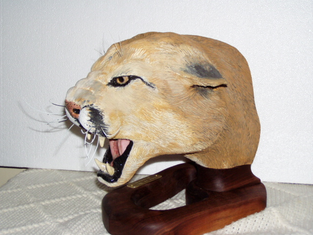 Mountain Lion