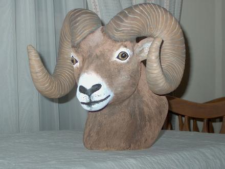 Rocky Mountain Bighorn Sheep