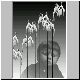 digital02.jpg