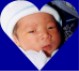 Click here to view Alex Photo Album