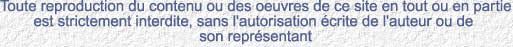 Toute reproduction du contenu ou des oeuvres de ce site en tout ou en partie est strictement interdite, sans l'autorisation &eacute;crite de l'auteur ou de son repr&eacute;sentant