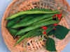 runnerbean