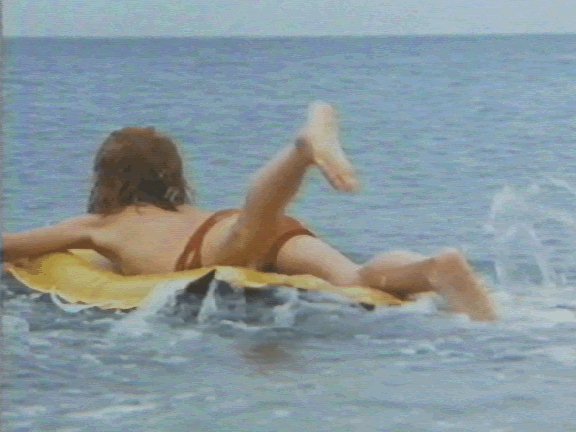 /user/jaws1335.jpg