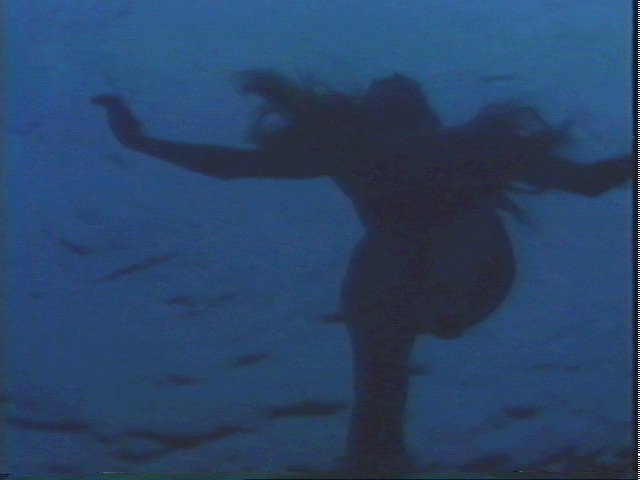 /user/jaws234.jpg