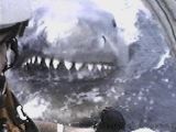 /user/jaws2copte.jpg