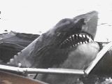 /user/jaws2shark3.jpg