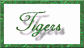Tiger Kreations