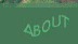 All About Adi
