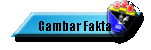Gambar Fakta