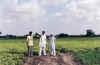 jamnagar8.jpg (67745 bytes)