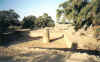 jalgujarat4.jpg (82696 bytes)