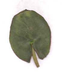 ?