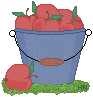 apples