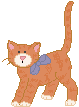 Welcome cats' lovers!