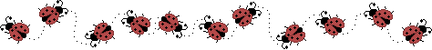 lots of ladybugs!